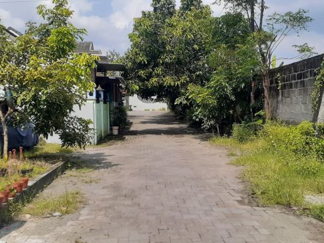 place photo 3