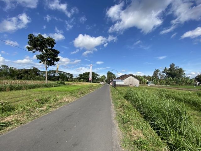 place photo 5