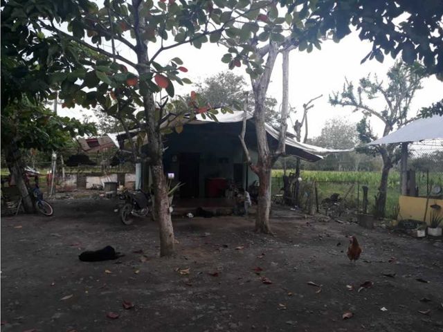 place photo 21