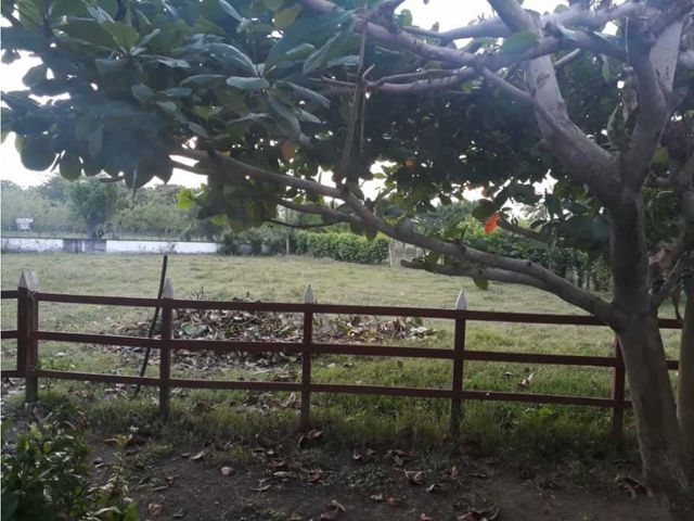 place photo 25