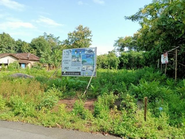 place photo 7