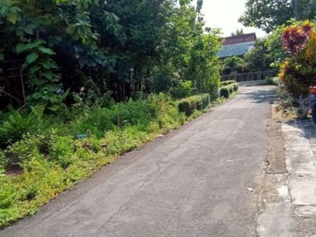 place photo 9