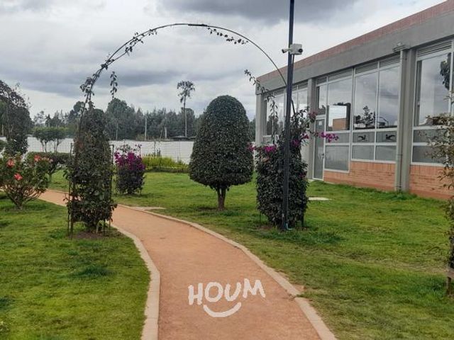place photo 26