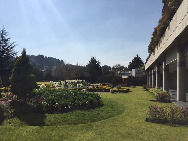 place photo 14