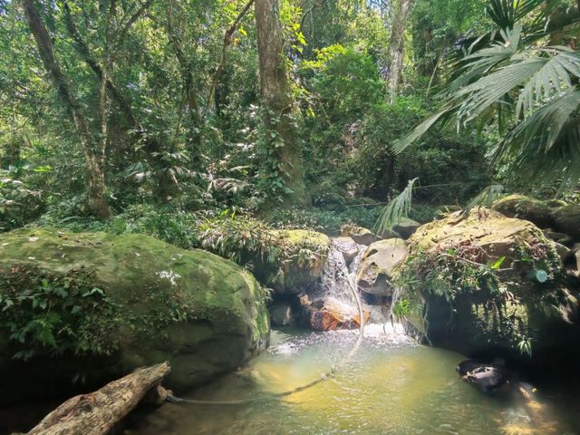place photo 21