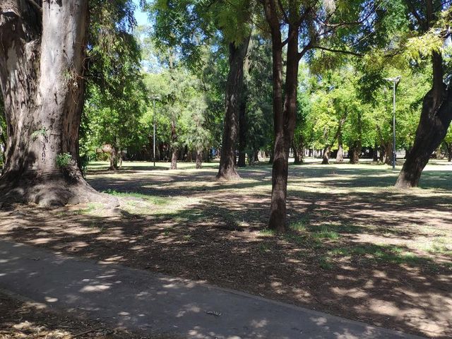 place photo 18
