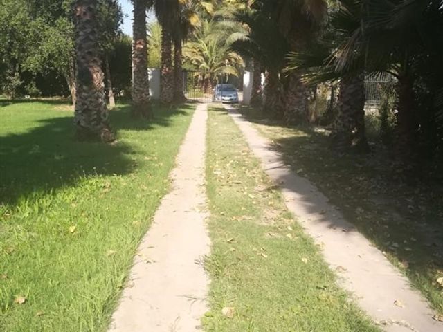 place photo 36