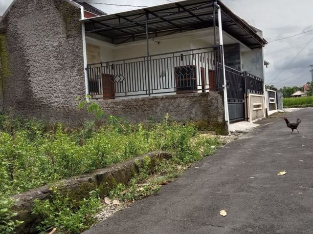 place photo 5