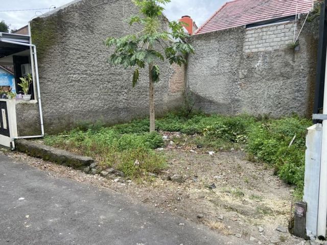 place photo 4