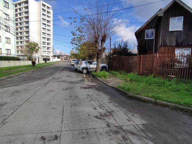place photo 11