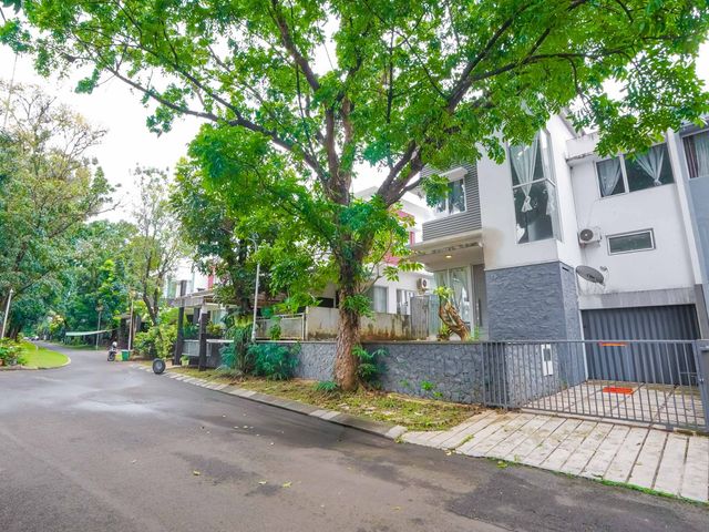 place photo 40