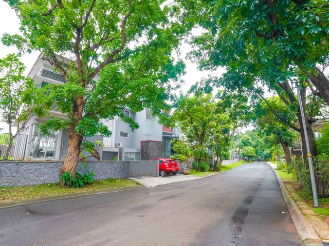 place photo 41