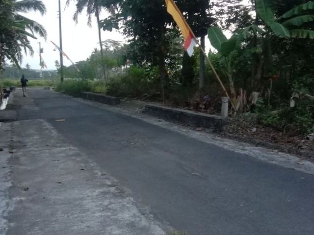 place photo 5