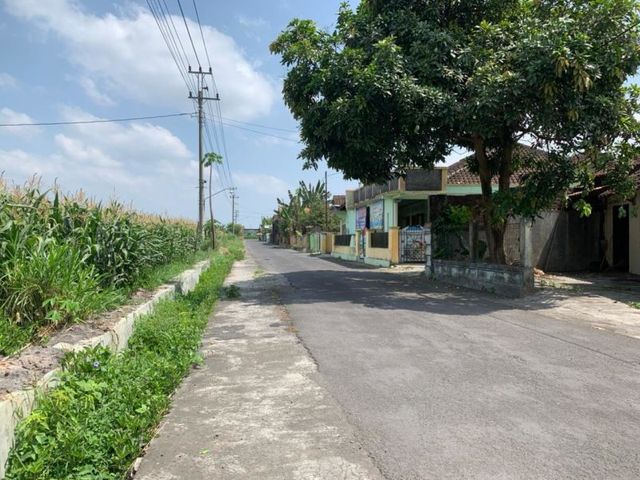 place photo 7