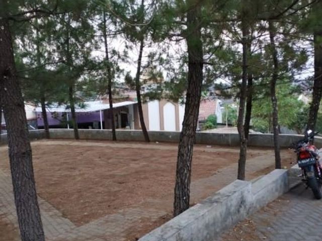 place photo 6