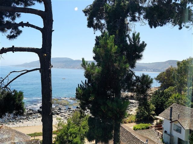 place photo 44