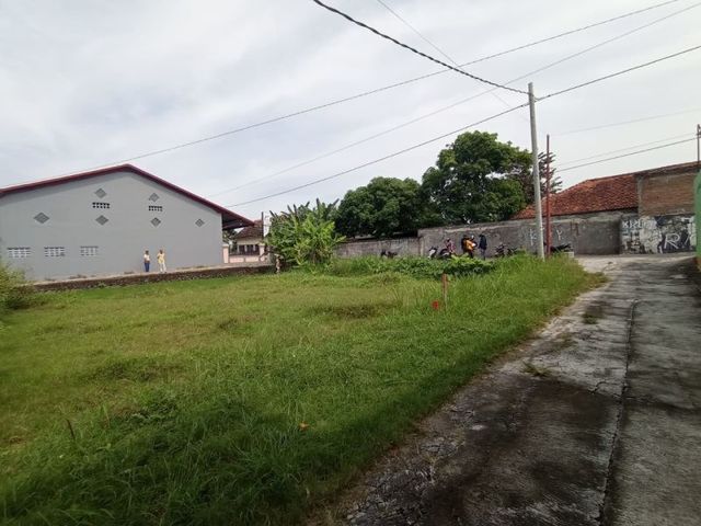 place photo 6