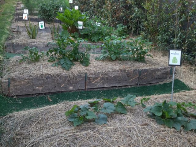 place photo 12
