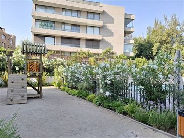 place photo 49