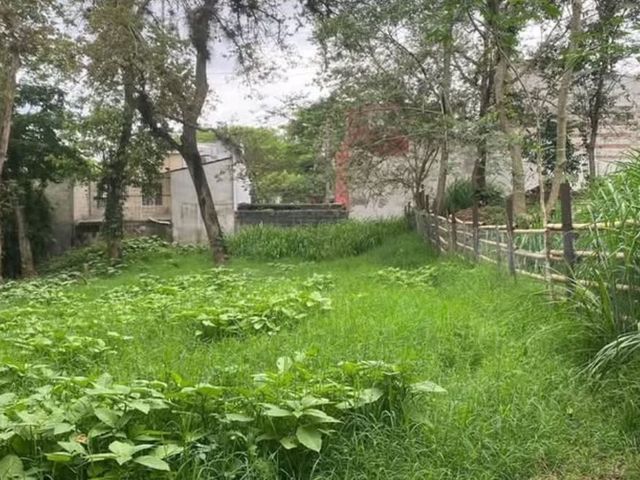 Terreno Habitacional en Venta, Av. Del Café, Sumidero, Xalapa