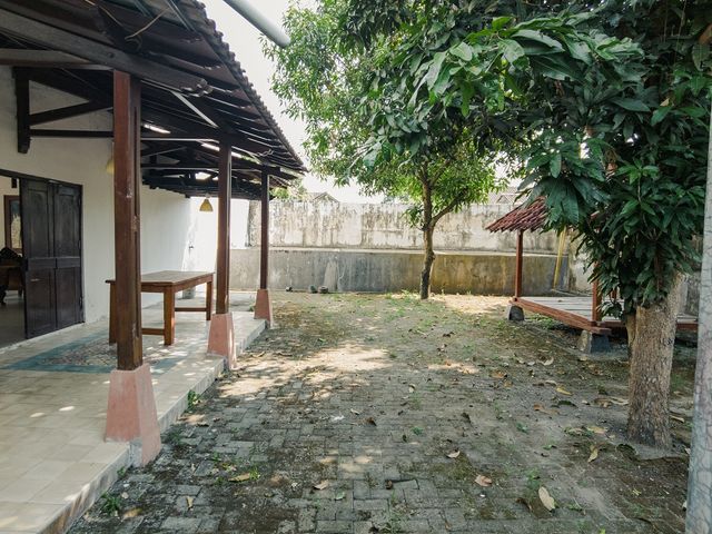 place photo 11