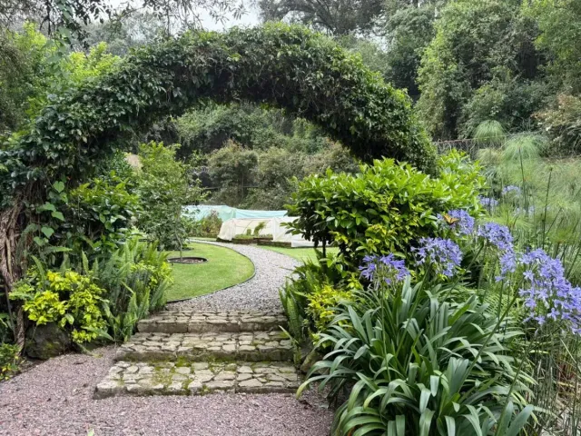 place photo 34