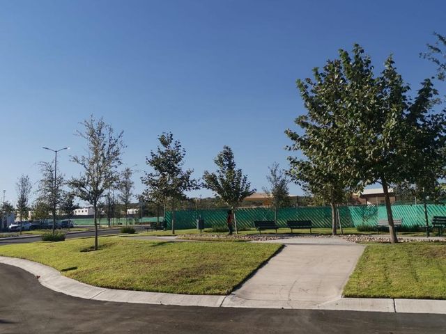 place photo 14