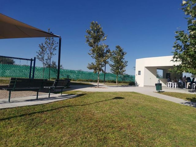 place photo 15