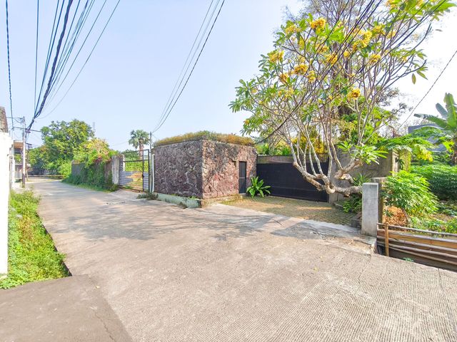 place photo 27