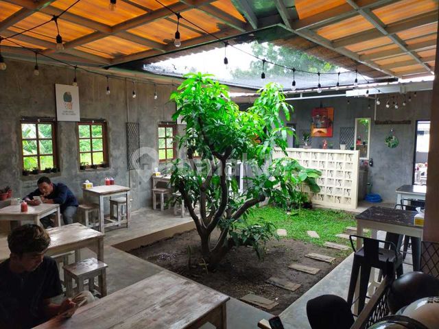 place photo 8