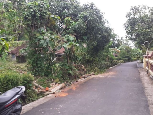 place photo 7