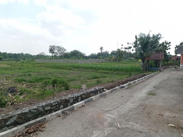 place photo 7
