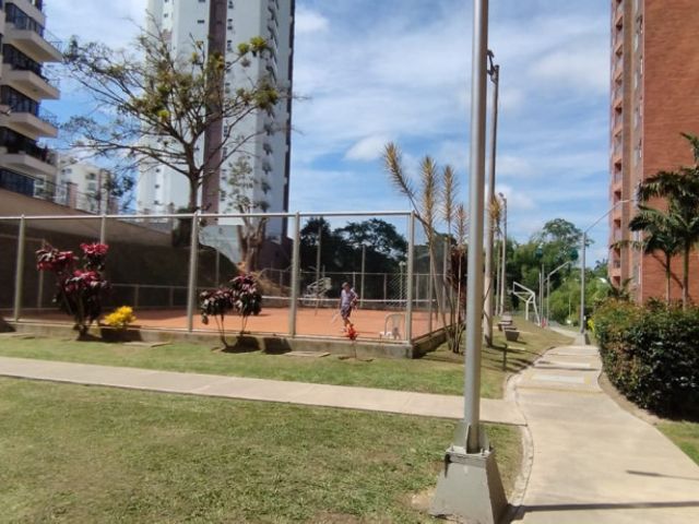place photo 21