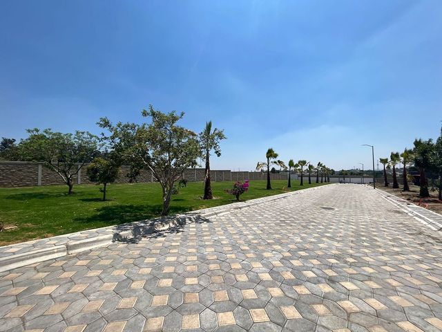 place photo 15