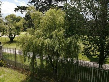 place photo 40