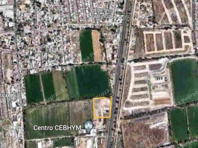 place photo 16