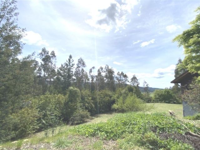 place photo 47