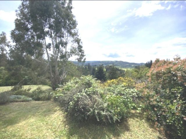 place photo 42