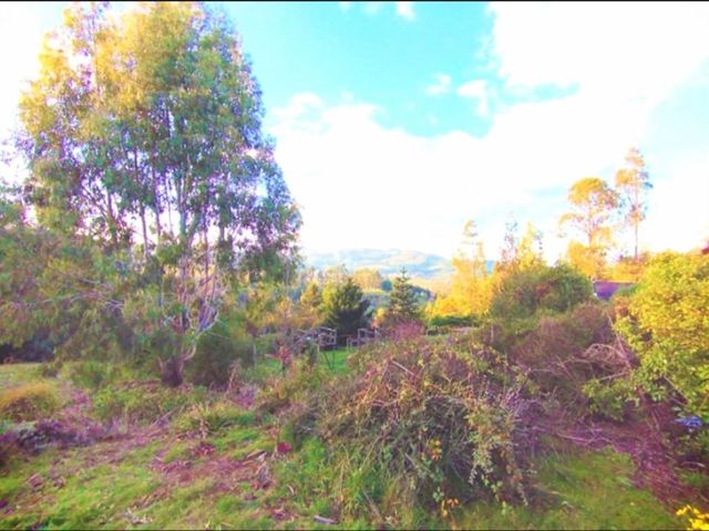 place photo 41