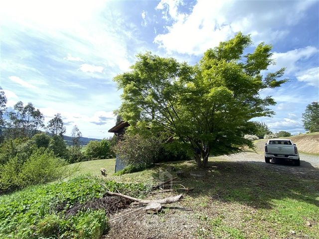 place photo 45