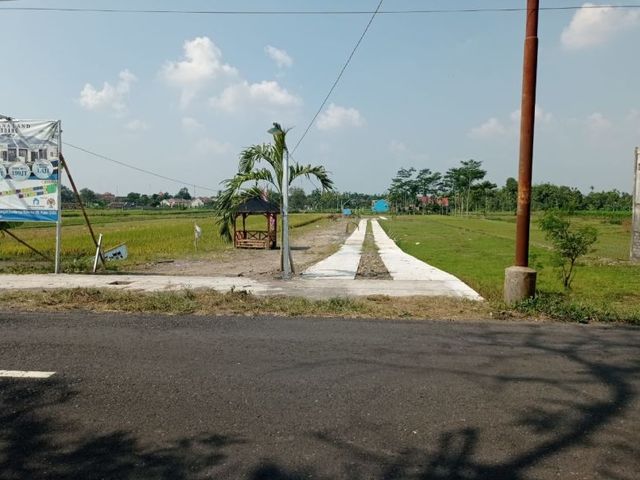 place photo 7