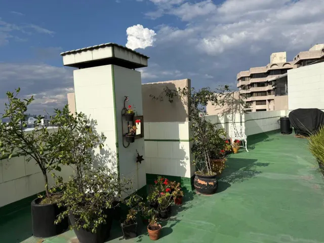place photo 19