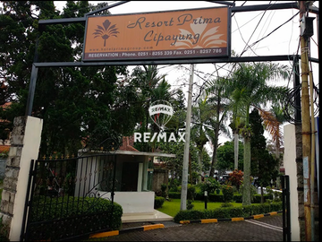 place photo 8