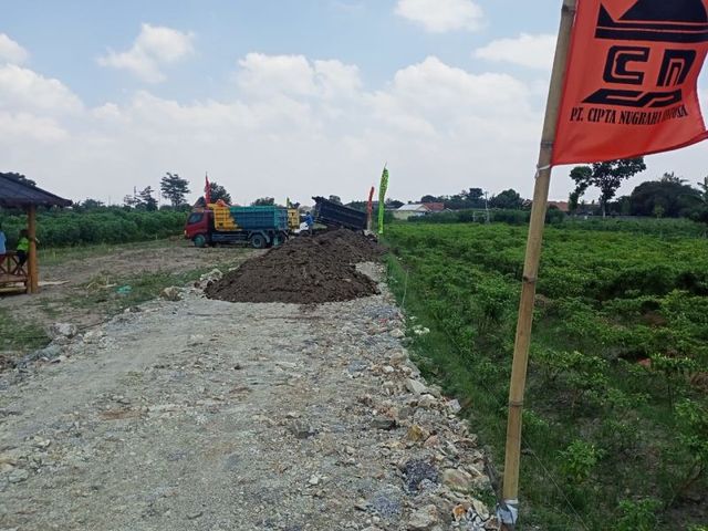 place photo 3