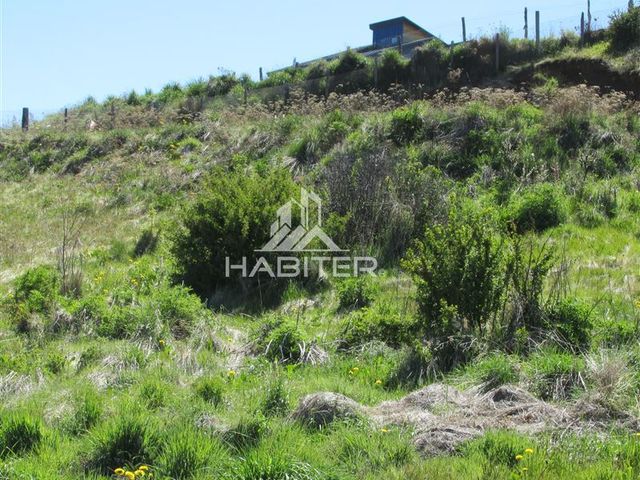 place photo 56