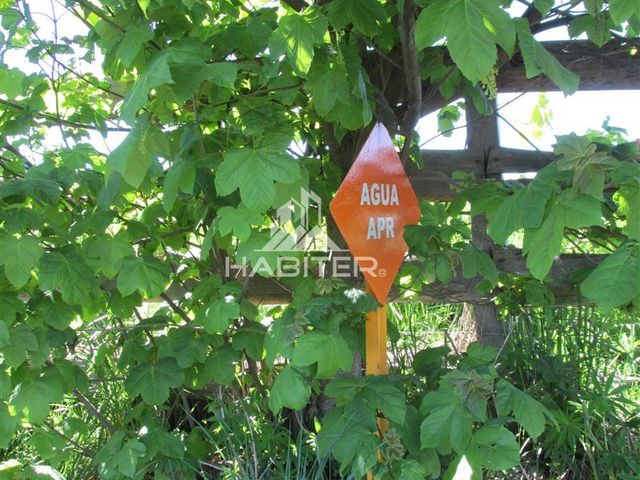 place photo 58