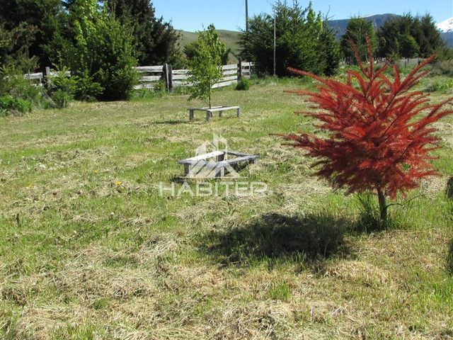 place photo 59