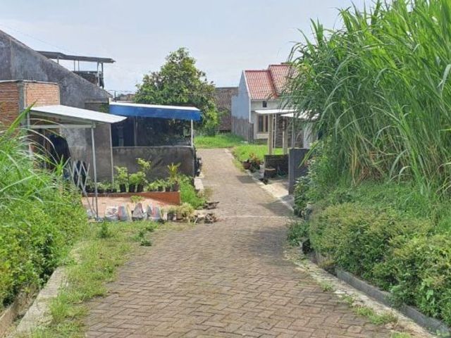 place photo 12