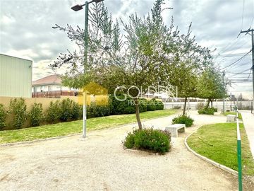 place photo 46