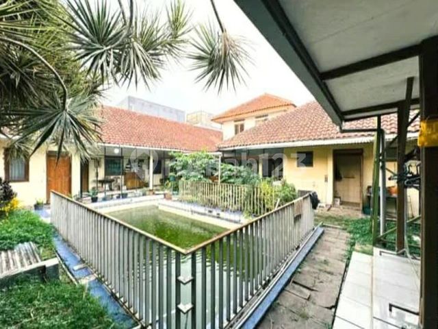 place photo 14